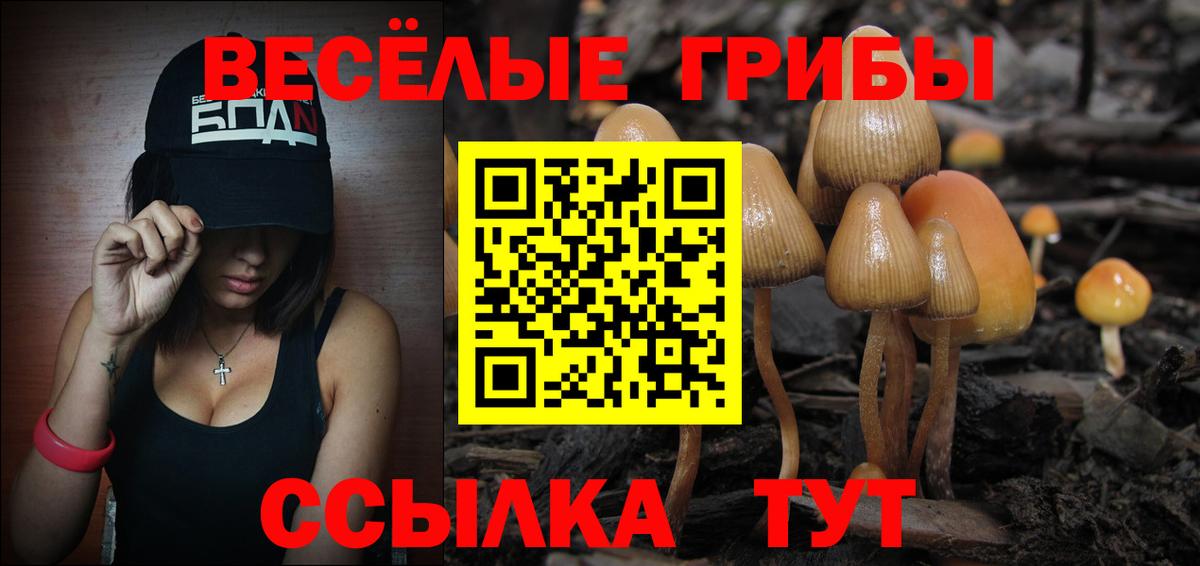 Псилоцибиновые грибы Psilocybe Грозный
