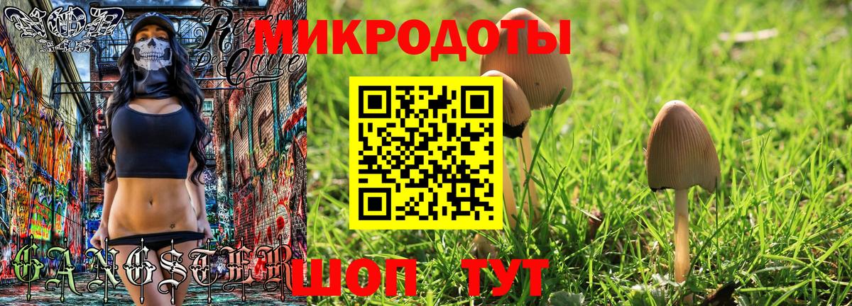 Грозный  Псилоцибиновые грибы Psilocybe  Вход с VPN 
